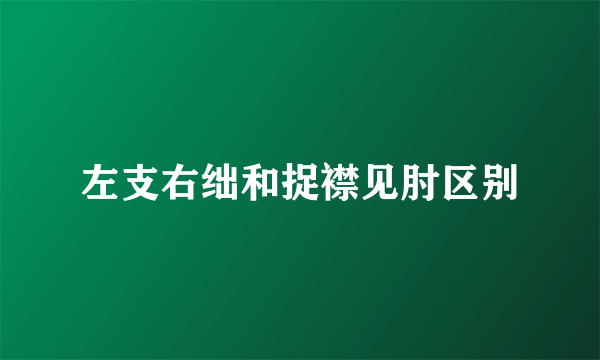 左支右绌和捉襟见肘区别