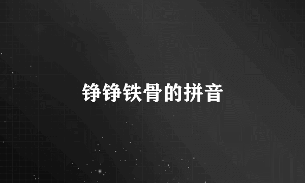 铮铮铁骨的拼音