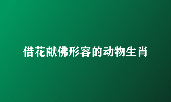借花献佛形容的动物生肖