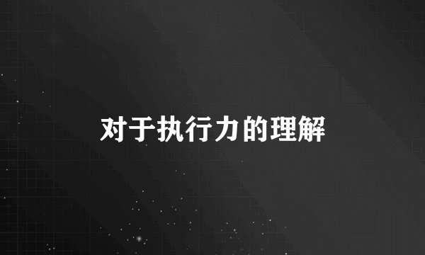 对于执行力的理解