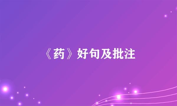 《药》好句及批注