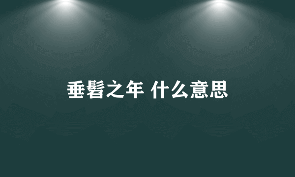 垂髫之年 什么意思