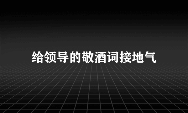 给领导的敬酒词接地气