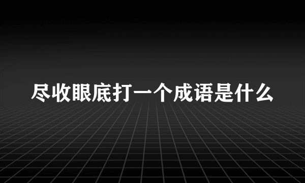 尽收眼底打一个成语是什么