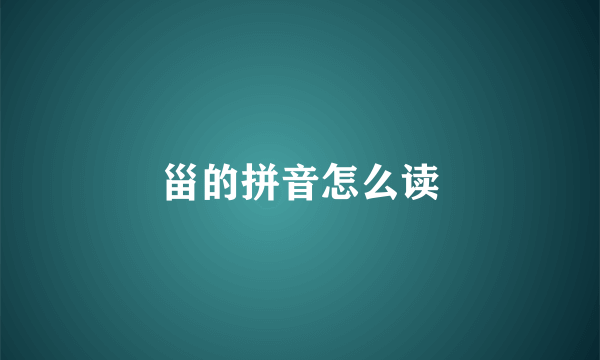 甾的拼音怎么读