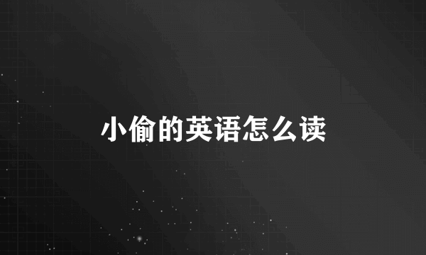 小偷的英语怎么读