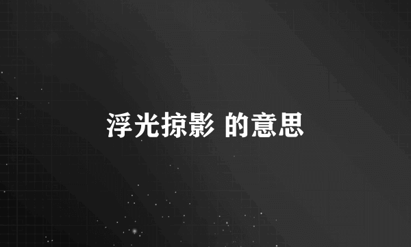 浮光掠影 的意思