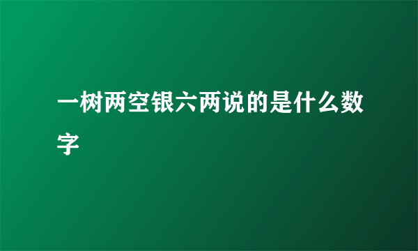 一树两空银六两说的是什么数字