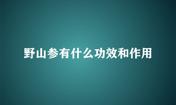 野山参有什么功效和作用