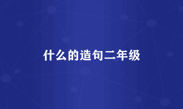 什么的造句二年级