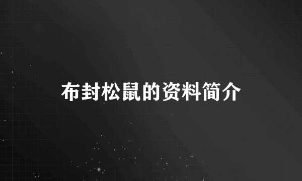 布封松鼠的资料简介