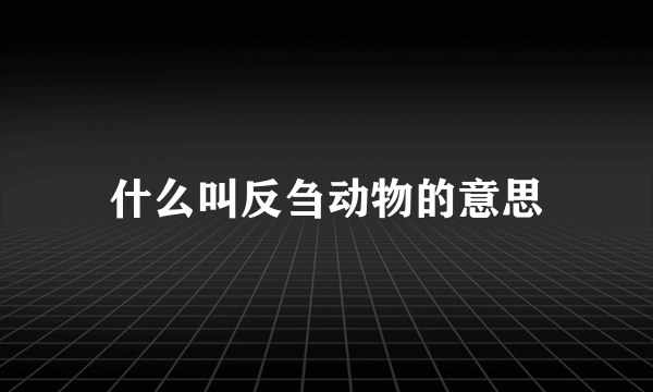 什么叫反刍动物的意思