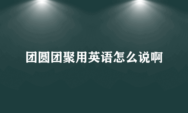 团圆团聚用英语怎么说啊