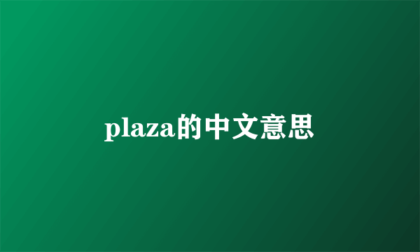 plaza的中文意思