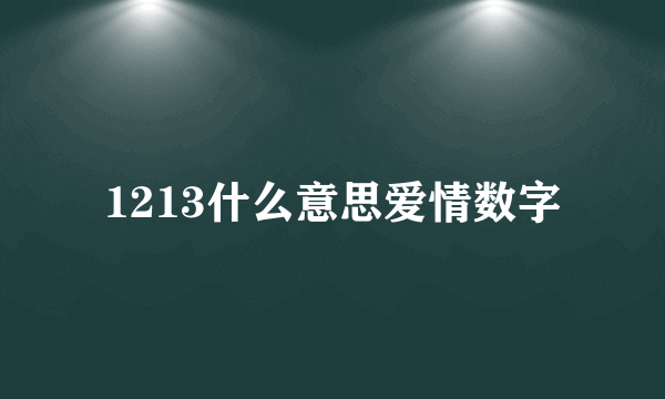 1213什么意思爱情数字