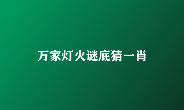 万家灯火谜底猜一肖