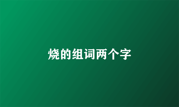 烧的组词两个字