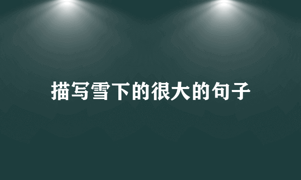 描写雪下的很大的句子