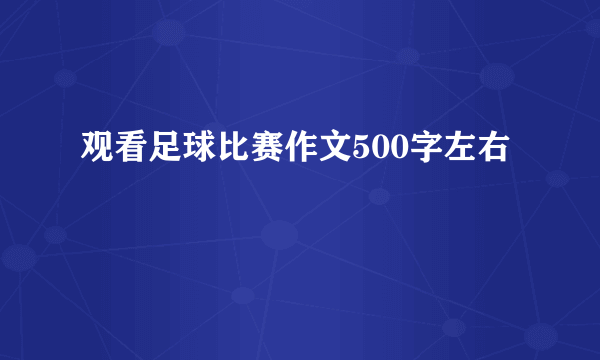 观看足球比赛作文500字左右