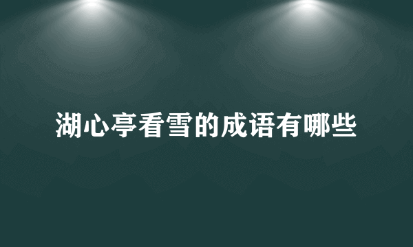 湖心亭看雪的成语有哪些