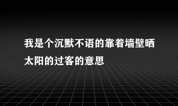 我是个沉默不语的靠着墙壁晒太阳的过客的意思