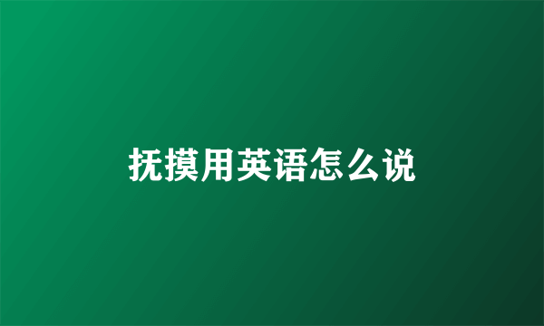 抚摸用英语怎么说