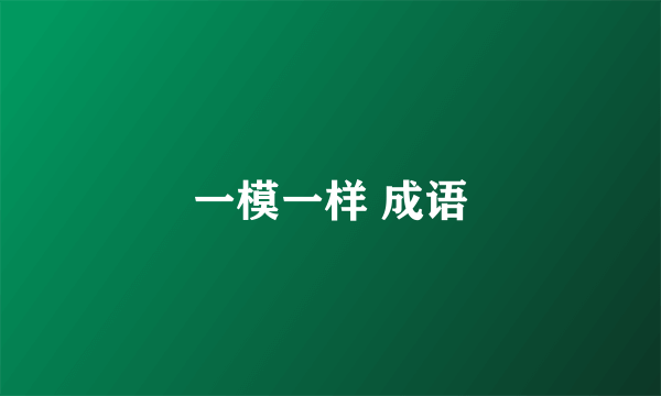 一模一样 成语