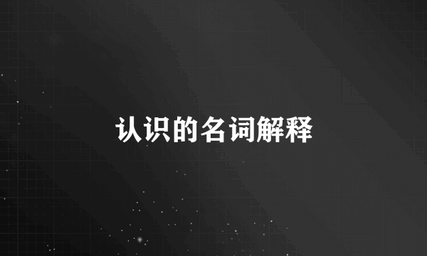 认识的名词解释