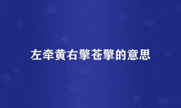 左牵黄右擎苍擎的意思