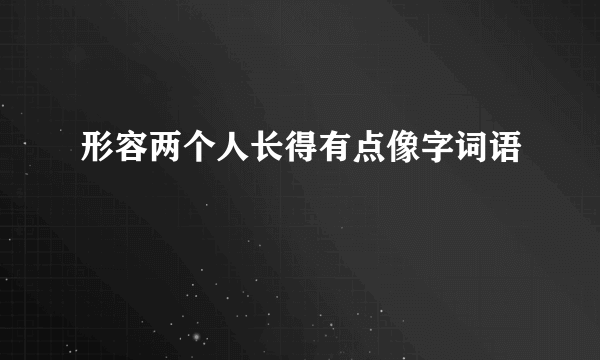 形容两个人长得有点像字词语
