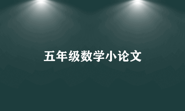 五年级数学小论文
