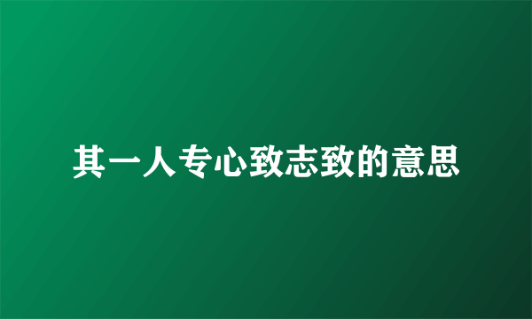 其一人专心致志致的意思