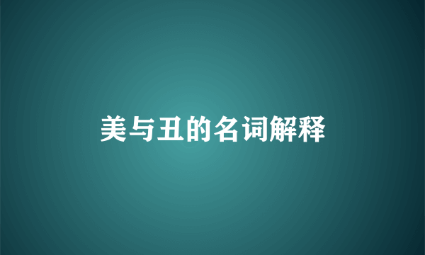美与丑的名词解释