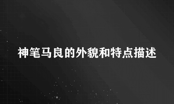 神笔马良的外貌和特点描述