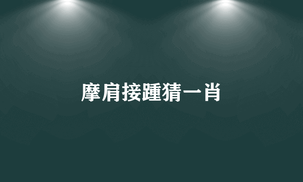 摩肩接踵猜一肖
