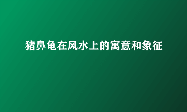 猪鼻龟在风水上的寓意和象征