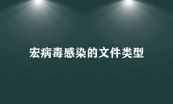 宏病毒感染的文件类型