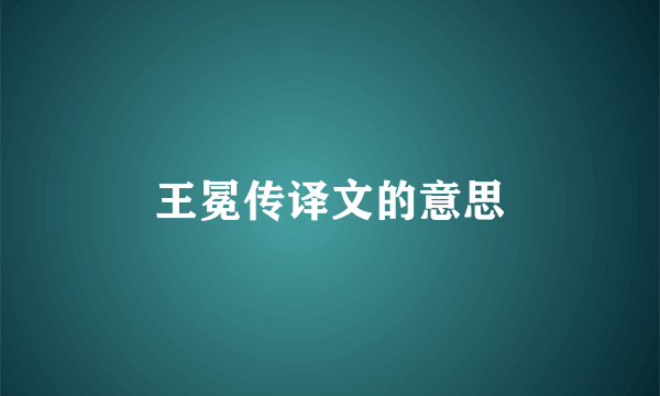 王冕传译文的意思