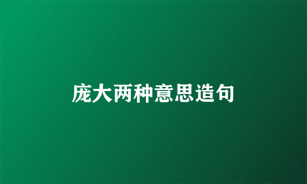 庞大两种意思造句