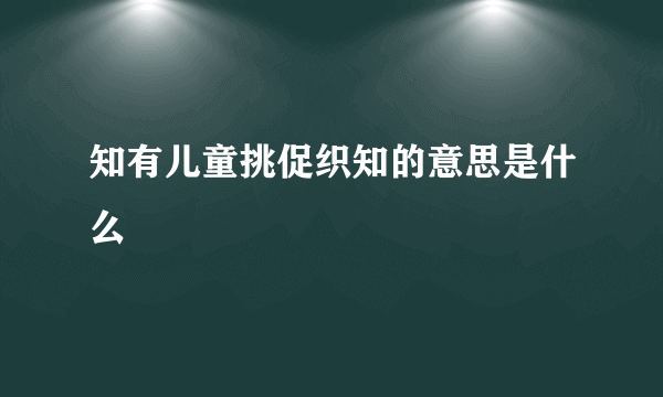 知有儿童挑促织知的意思是什么
