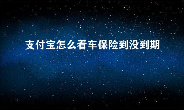 支付宝怎么看车保险到没到期
