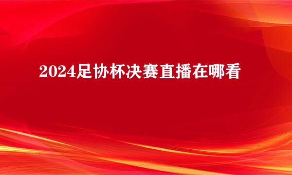2024足协杯决赛直播在哪看