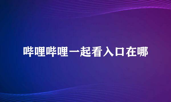 哔哩哔哩一起看入口在哪