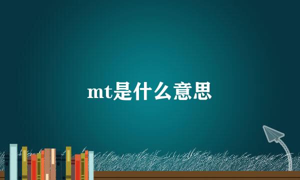 mt是什么意思