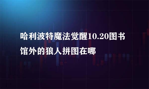 哈利波特魔法觉醒10.20图书馆外的狼人拼图在哪