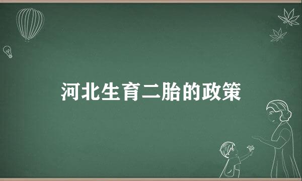 河北生育二胎的政策
