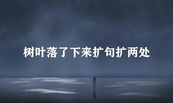 树叶落了下来扩句扩两处