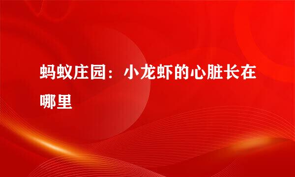 蚂蚁庄园：小龙虾的心脏长在哪里