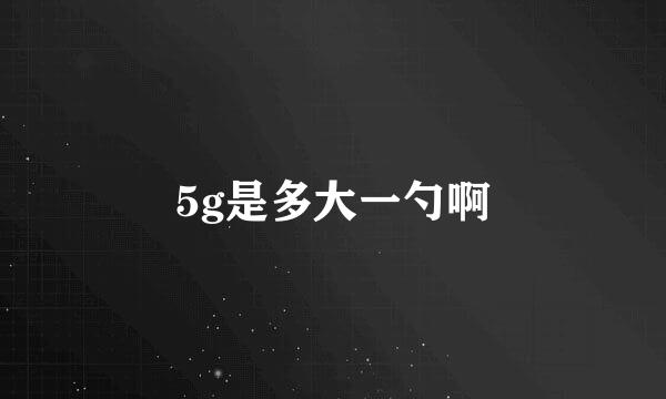 5g是多大一勺啊