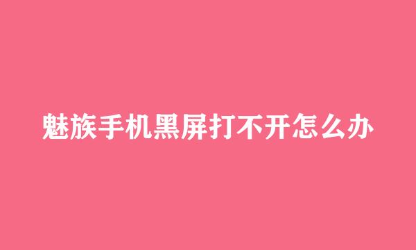 魅族手机黑屏打不开怎么办